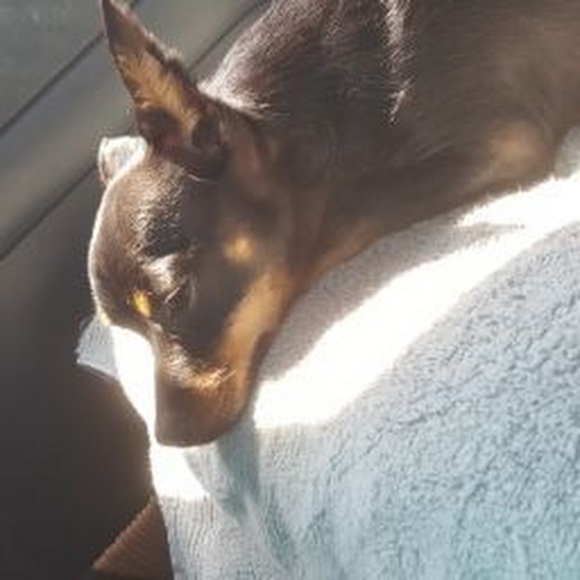 Meet your Posher, Kathy - Picture 1 of 1